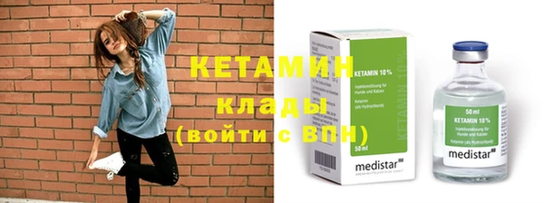 хмурый Аркадак