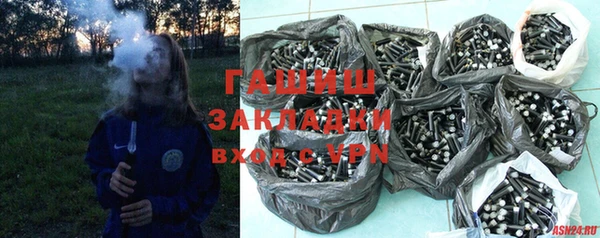 хмурый Аркадак