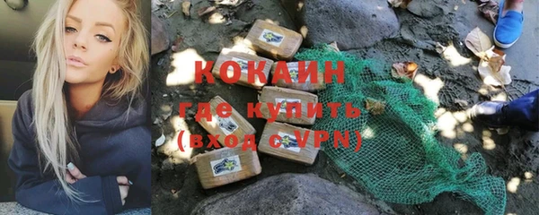хмурый Аркадак