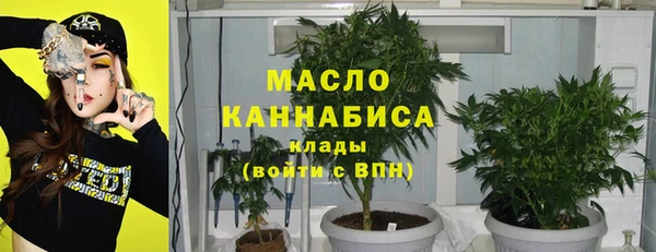 хмурый Аркадак