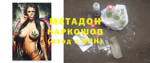 хмурый Аркадак