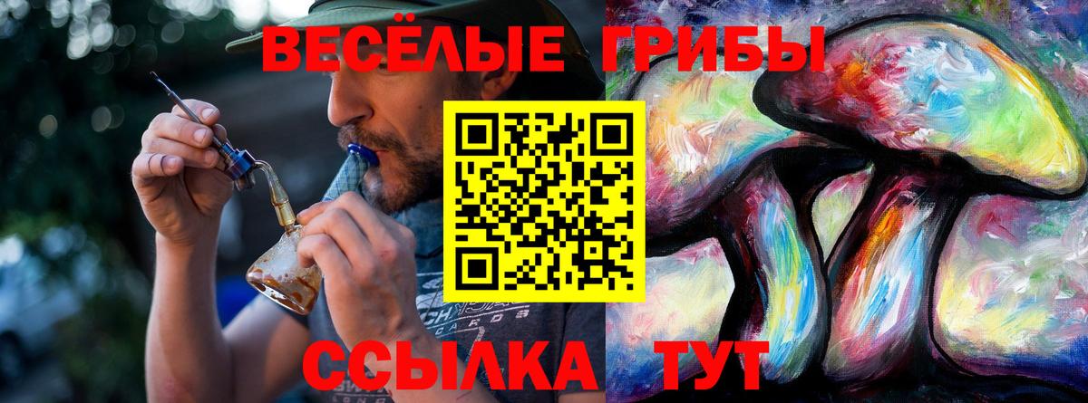 Галлюциногенные грибы мицелий Усолье-Сибирское
