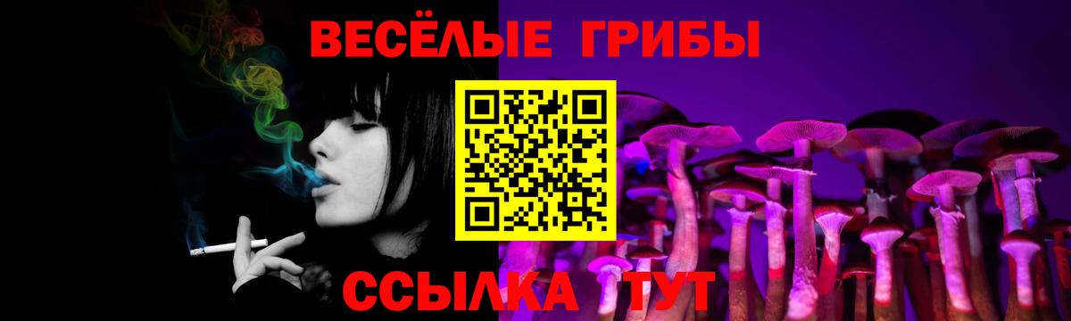 Усолье-Сибирское  Псилоцибиновые грибы Psilocybe  Вход с VPN  Галлюциногенные грибы прущие грибы 